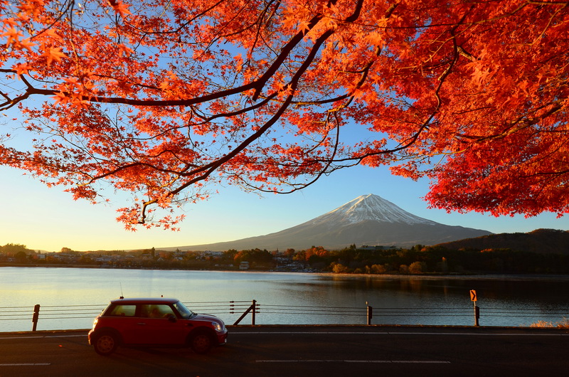 Nhật Bản: Nagoya-Kyoto- Làng cổ Shirakawago--Kamikochi- Núi Phú Sĩ-Tokyo Thưởng thúc thịt bò Hida Mùa lá vàng lá đỏ